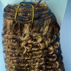 Kelly Kinky Clip In Hair Extension