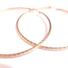 Gold Twist Hoop Earrings