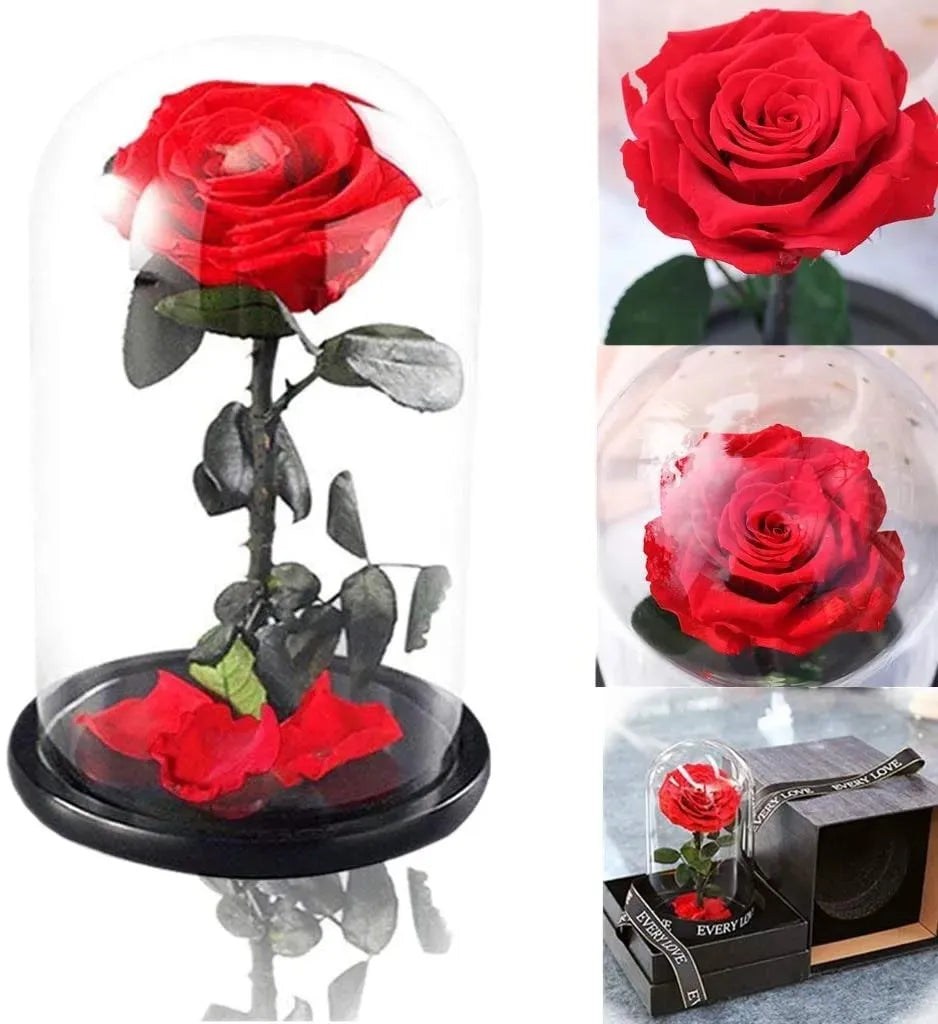 Beauty and The Beast Glass Dome Gift Red Rose